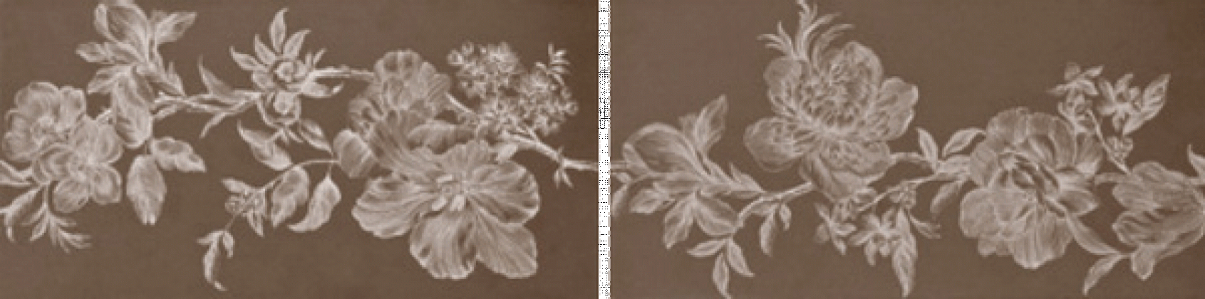 La Vie en Flores Chocolate Lapp. e Rett. 30x120