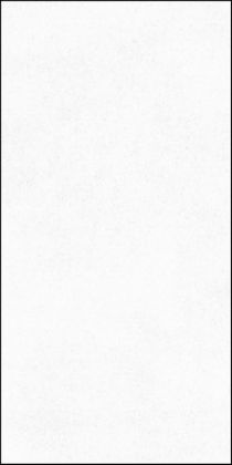 Плитка Alabastri Rex Bianco ret 60x120