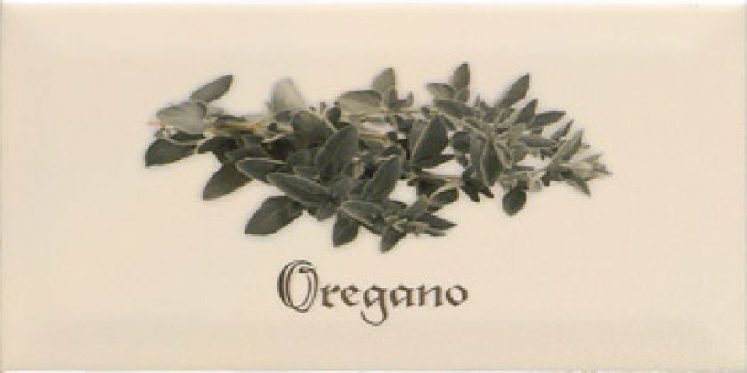 Decor Crema Oregano 10x20