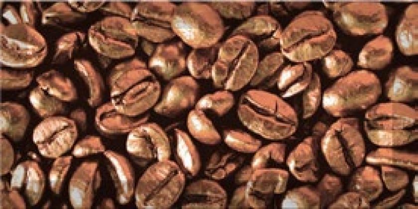 Coffee Beans 3 10x20