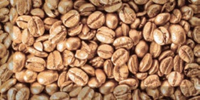 Coffee Beans 2 10x20