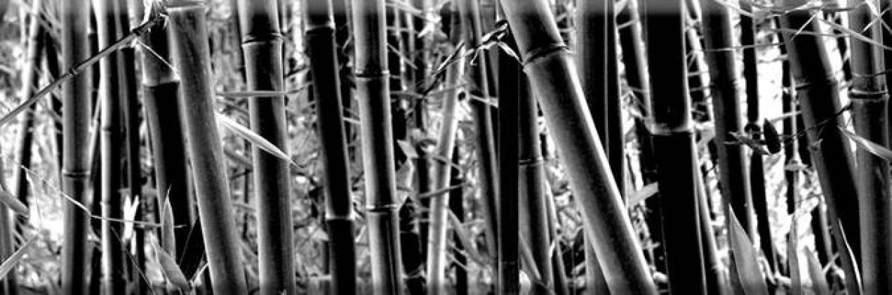 Decor Bambu 15x45