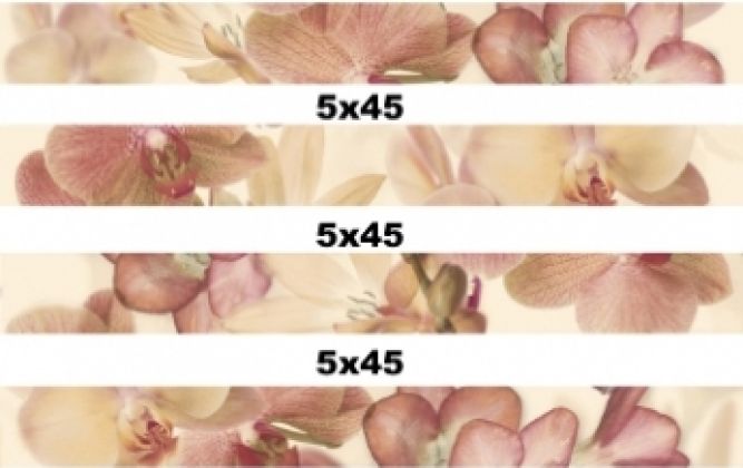 Orchides Marron 5x45