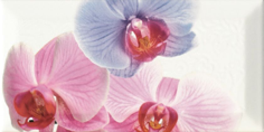 Decor Orchidea 1 10x20