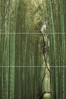 Bambu D/E/F 50x75