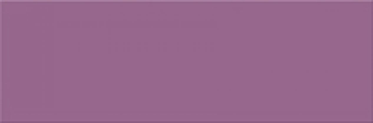 Плитка Vivid Colours фиолетовый 25x75 O-VVD-WTU121