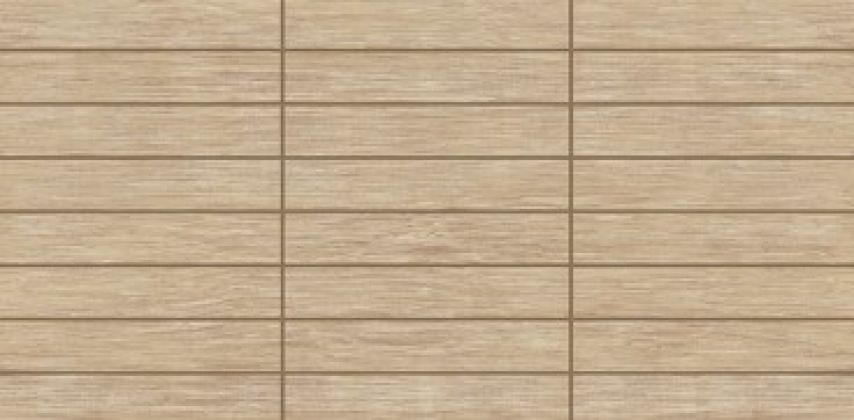 COUNTRY BEIGE 25x50 DW9CTR08