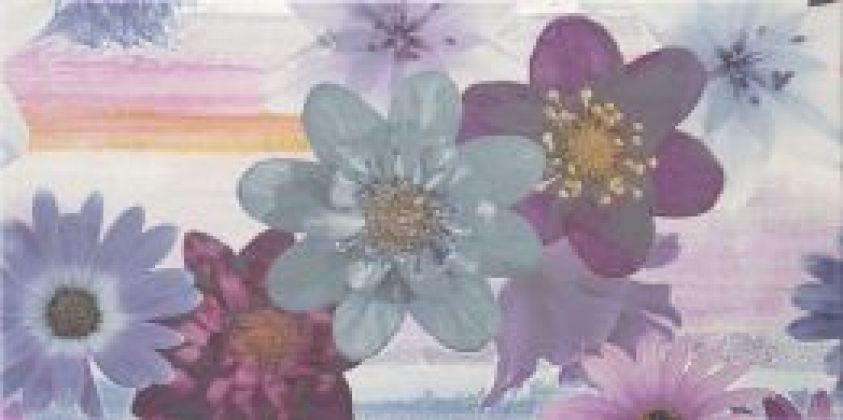Декор Iris nacar Flor 2 32,5x60