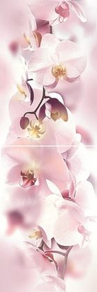 Orchid (из 2-х пл.) 20x60 P2D135