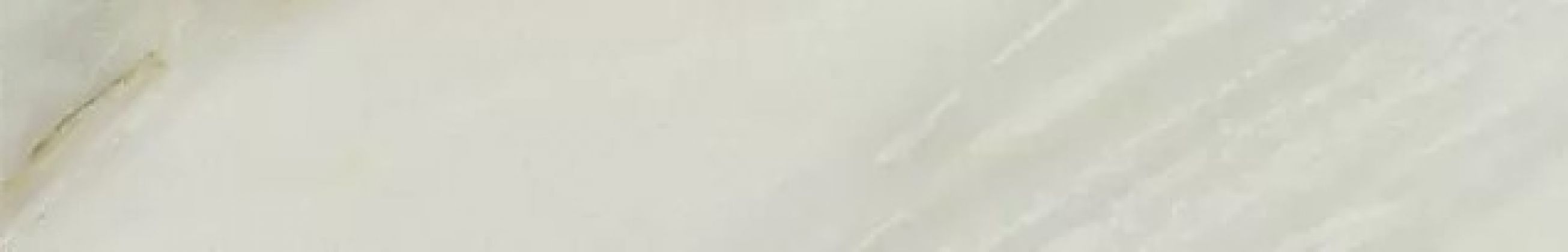 Флоренция белый лаппатир. 7,2x45 610090002005
