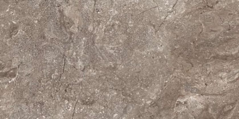 Leopard Stone Grey 60x120 6405