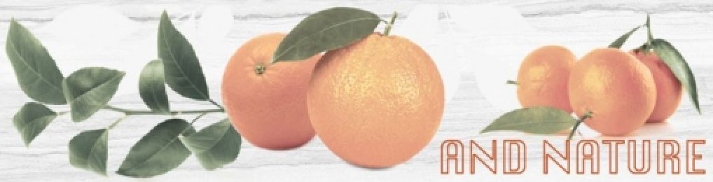 Naranjas 1 (And Nature)
