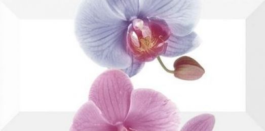 Decor Orchidea 3