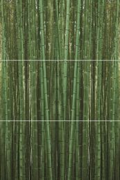 Bambu A/B/C