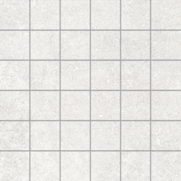 Мозаика Newcon белый R10A (5*5)